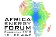 Africa Energy Forum 2013